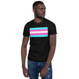 "Transgender Pride Flag" T-Shirt
